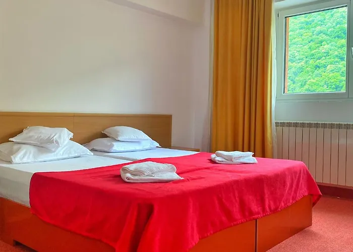 Hotel International