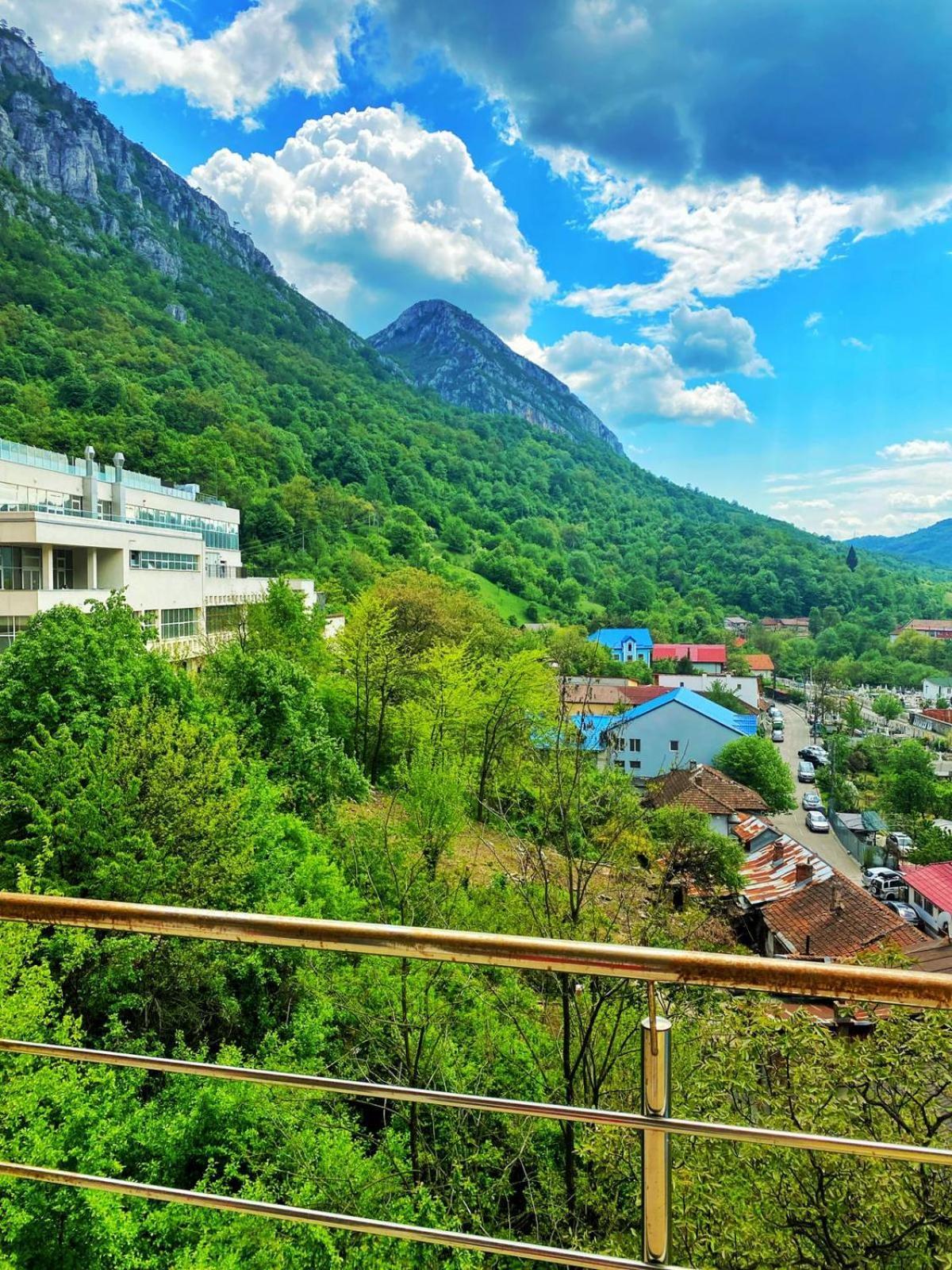 International Băile Herculane
